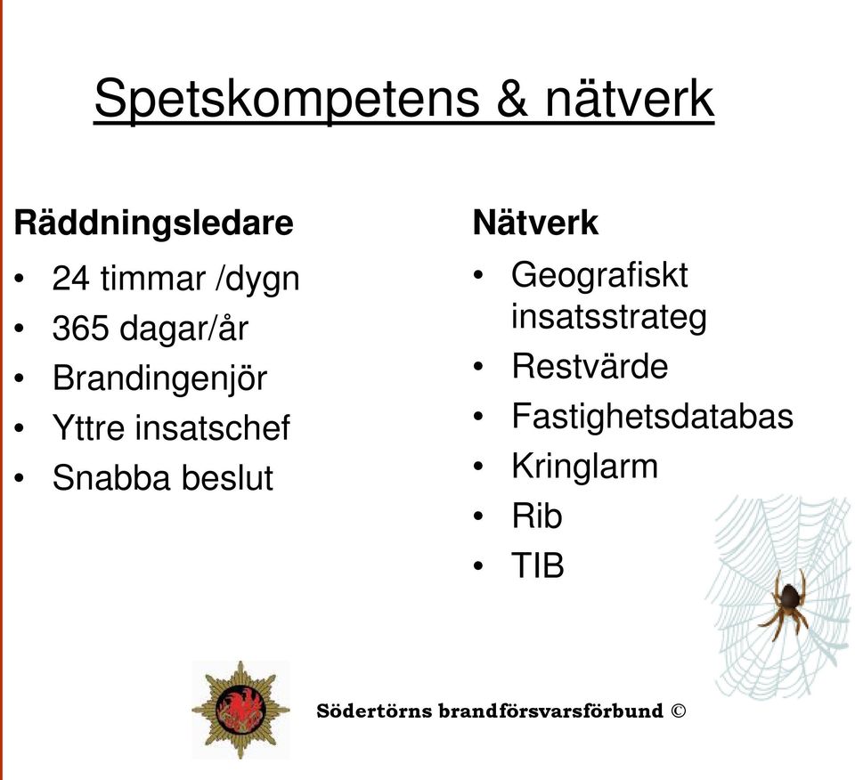 insatschef Snabba beslut Nätverk Geografiskt