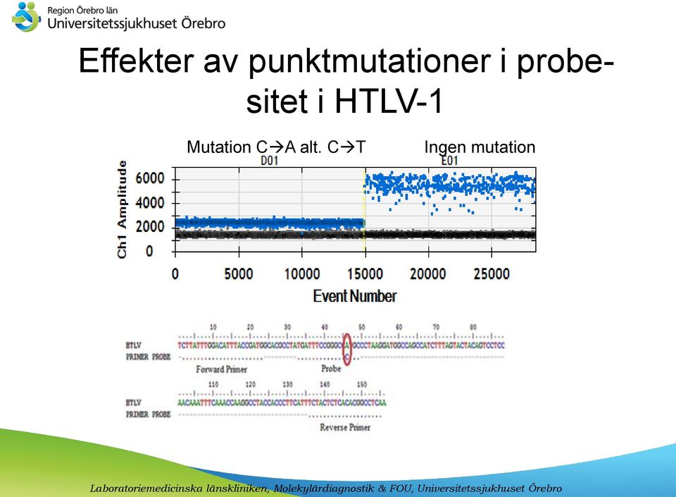 probesitet i HTLV-1