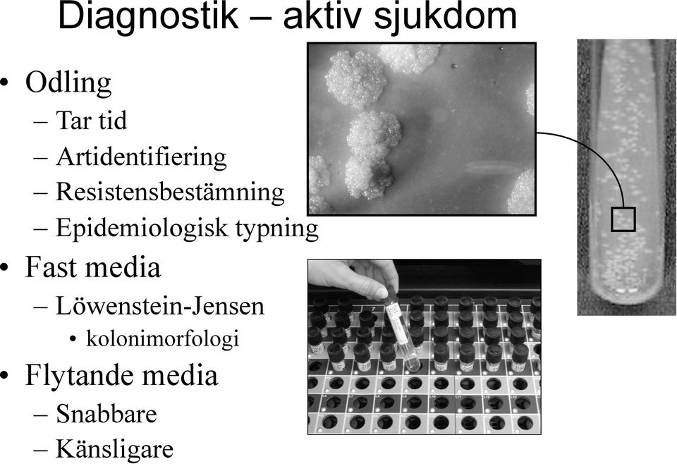 Epidemiologisk typning! Fast media!