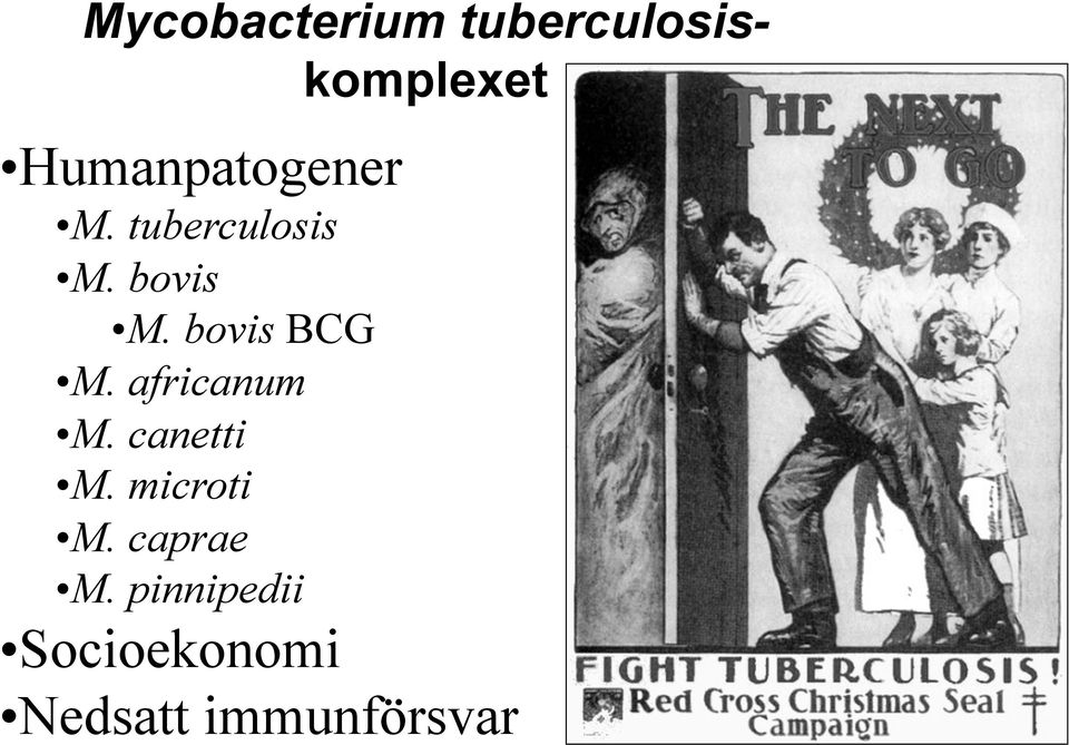 M. africanum!m. canetti!m. microti!m. caprae!