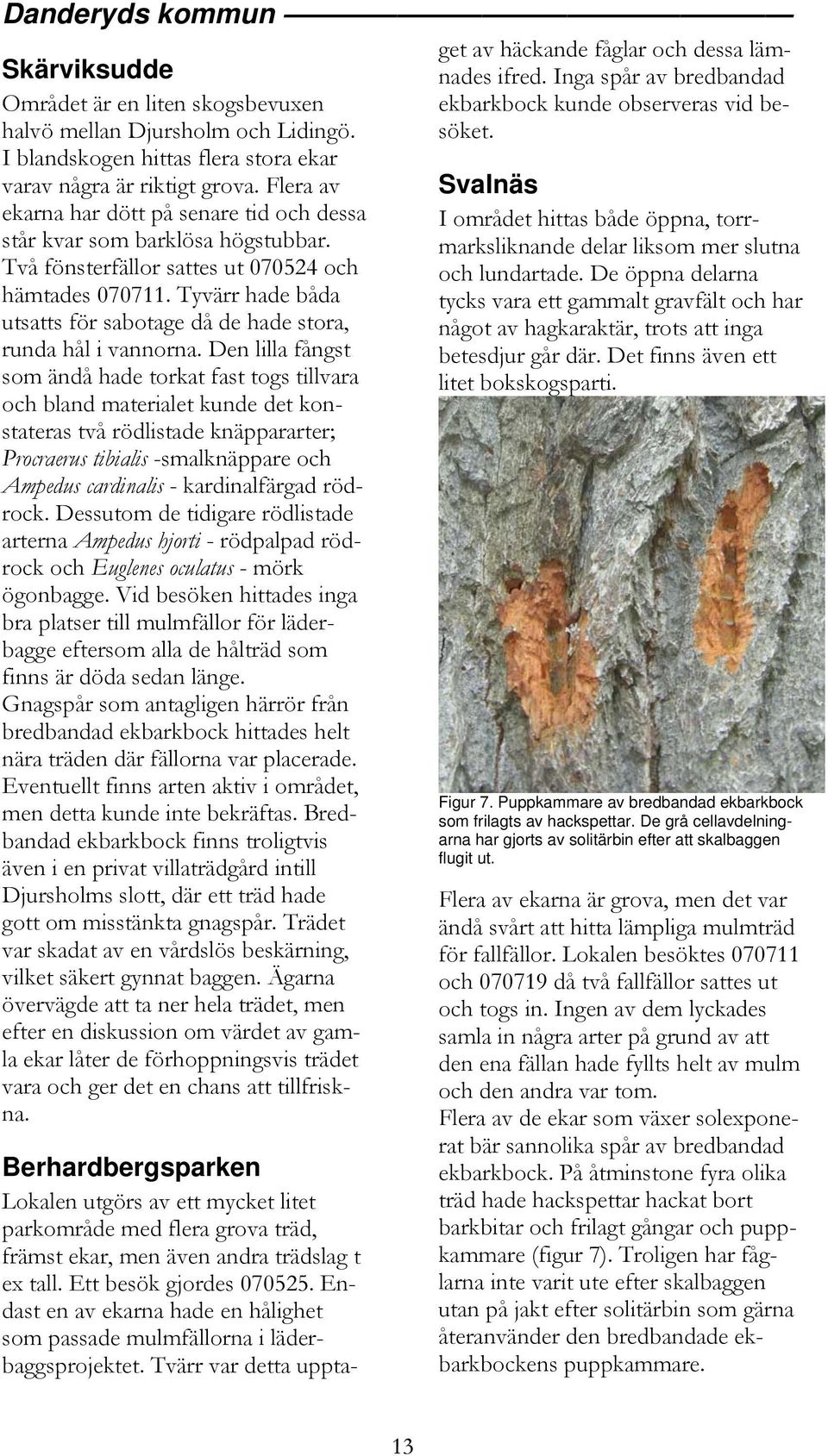 Inga spår av bredbandad ekbarkbock kunde observeras vid besöket. Skärviksudde Området är en liten skogsbevuxen halvö mellan Djursholm och Lidingö.