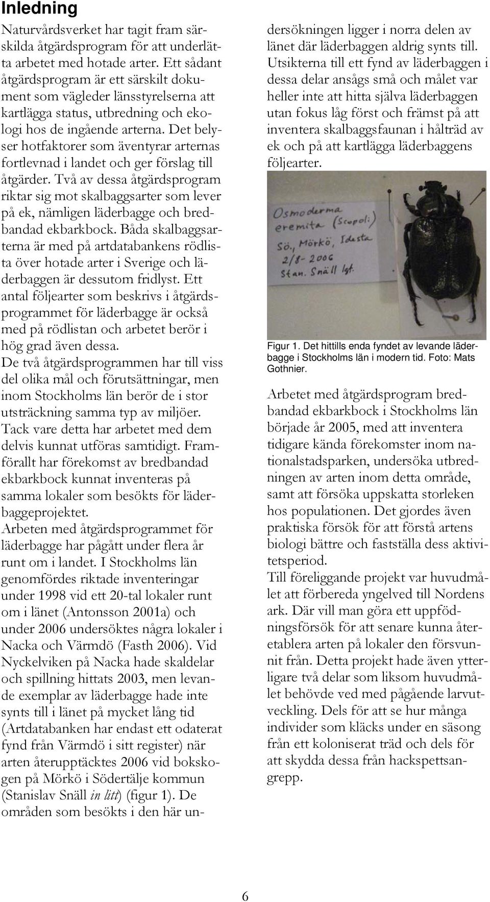 Det belyser hotfaktorer som äventyrar arternas fortlevnad i landet och ger förslag till åtgärder.