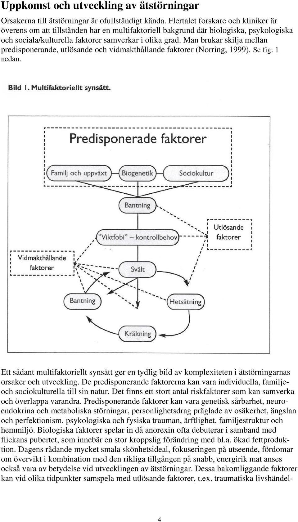 Man brukar skilja mellan predisponerande, utlösande och vidmakthållande faktorer (Norring, 1999). Se fig. 1 nedan.