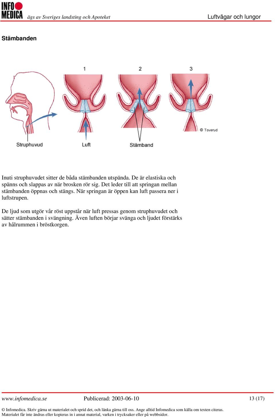 Det leder till att springan mellan stämbanden öppnas och stängs.