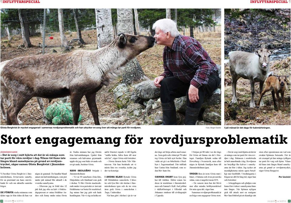 Vilans tid finns inte längre bland samebyarna på grund av rovdjurstrycket, säger samen Gösta Bergkvist i Jänsmässholmen.