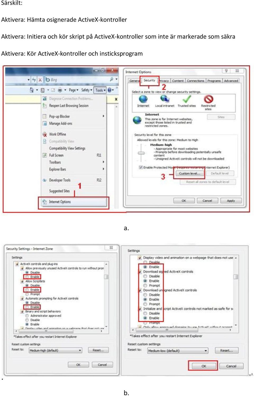 skript på ActiveX-kontroller som inte är markerade