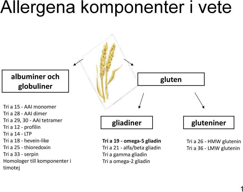 a 33 - serpin Homologer till komponenter i timotej gliadiner Tri a 19 - omega-5 gliadin Tri a 21 - alfa/beta