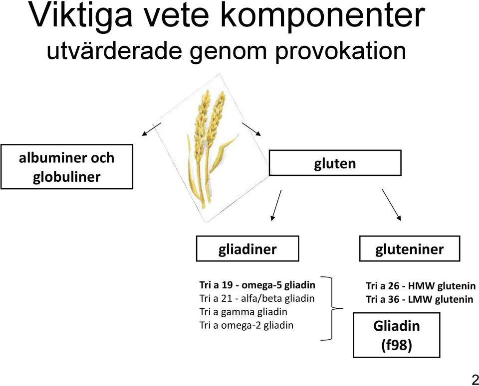 a 21 - alfa/beta gliadin Tri a gamma gliadin Tri a omega-2 gliadin