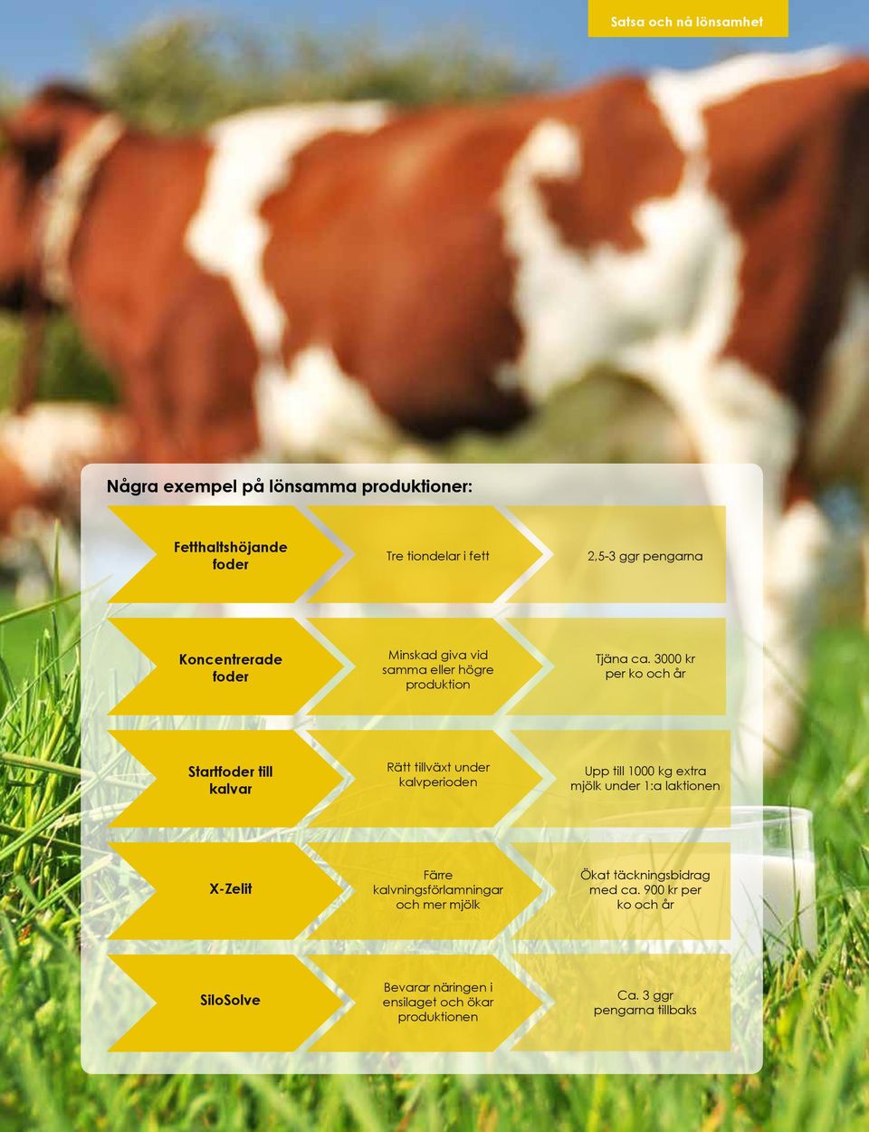 3000 kr per ko och år Startfoder till kalvar Rätt tillväxt under kalvperioden Upp till 1000 kg extra mjölk under 1:a laktionen