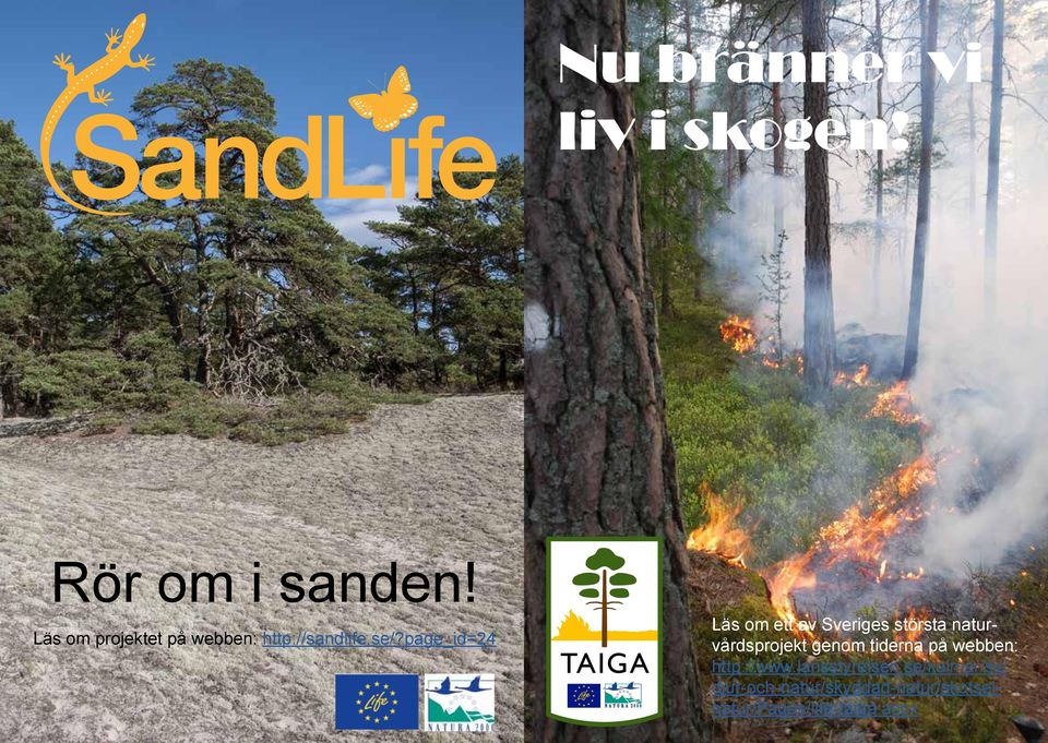 page_id=24 Läs om ett av Sveriges största naturvårdsprojekt genom