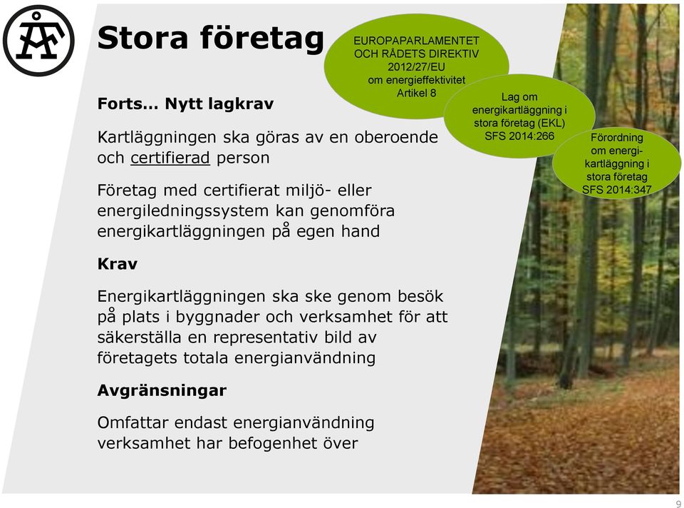 företag (EKL) SFS 2014:266 Förordning om energikartläggning i stora företag SFS 2014:347 Krav Energikartläggningen ska ske genom besök på plats i byggnader och