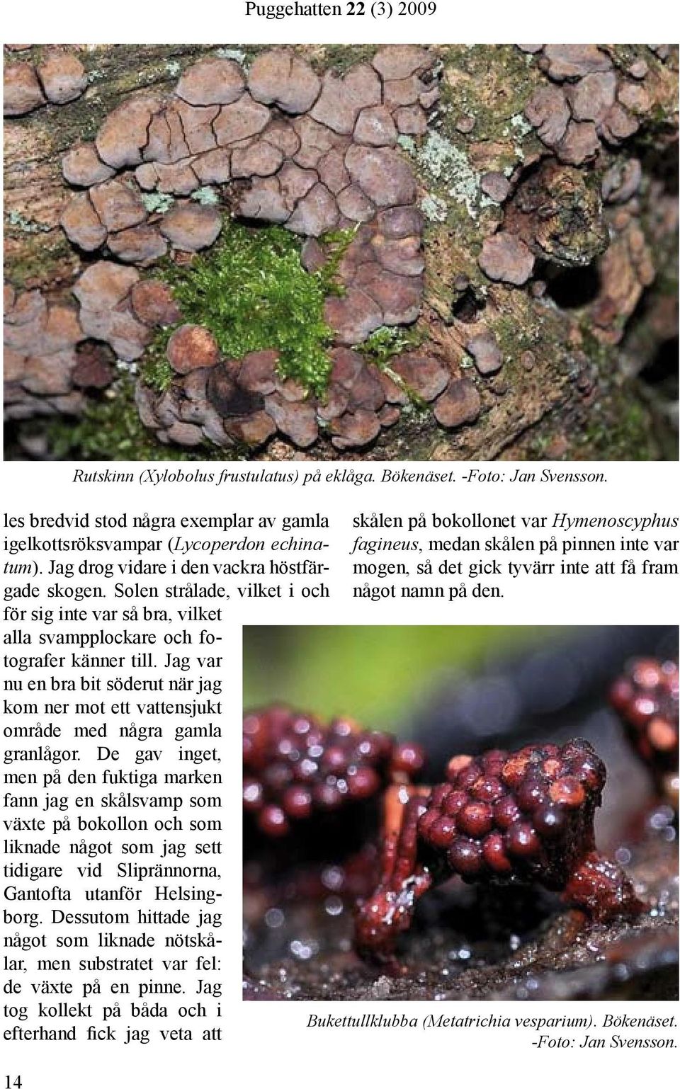 Jag var nu en bra bit söderut när jag kom ner mot ett vattensjukt område med några gamla granlågor.
