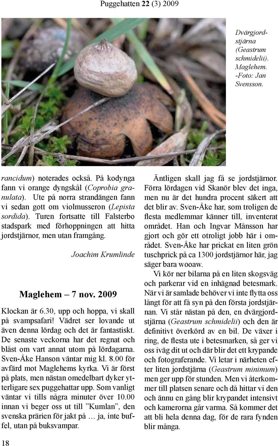 Joachim Krumlinde Maglehem 7 nov. 2009 Klockan är 6.30, upp och hoppa, vi skall på svampsafari! Vädret ser lovande ut även denna lördag och det är fantastiskt.