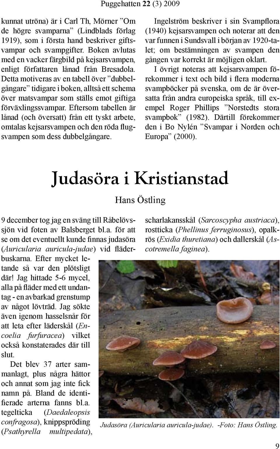 Detta motiveras av en tabell över dubbelgångare tidigare i boken, alltså ett schema över matsvampar som ställs emot giftiga förväxlingssvampar.