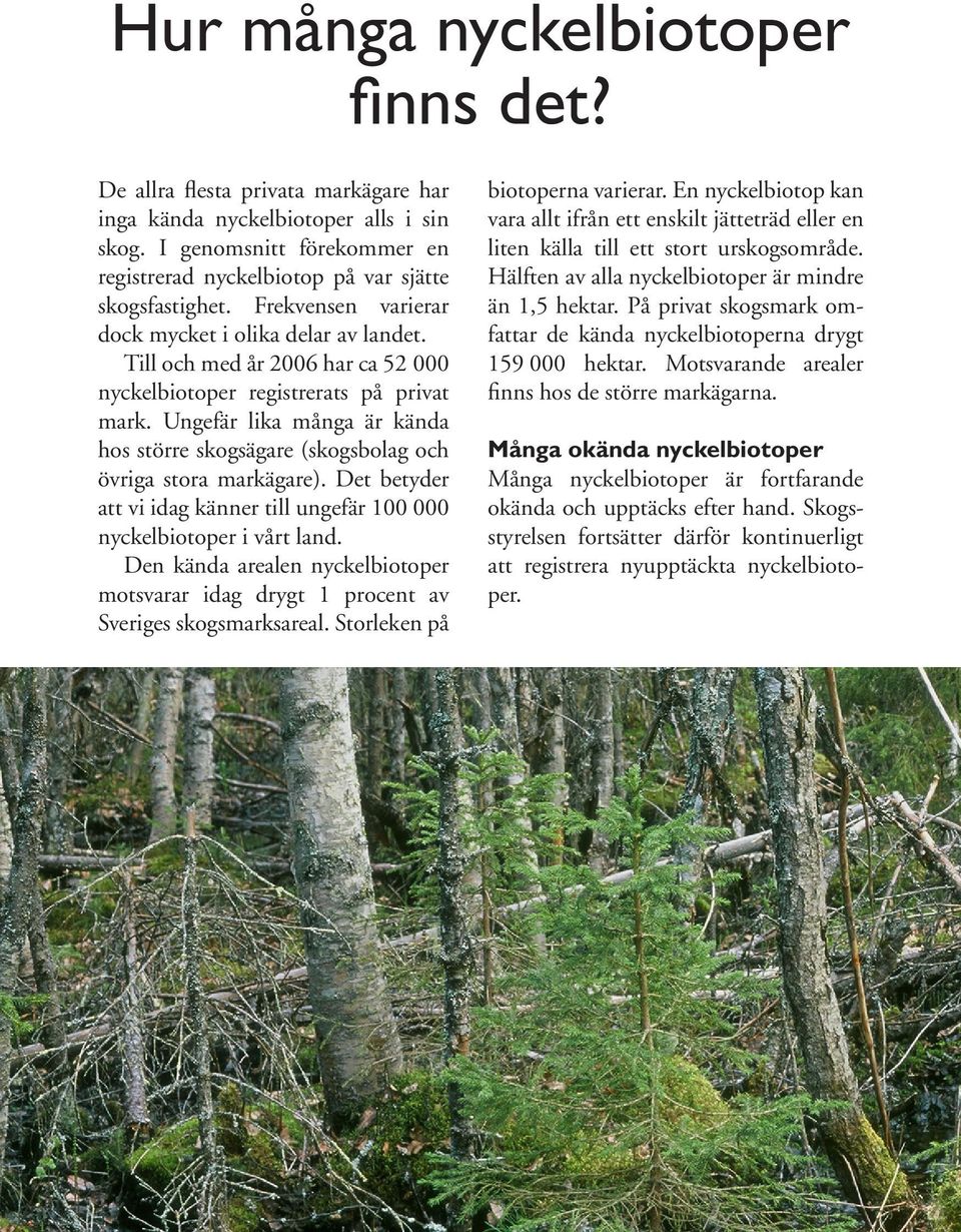 Ungefär lika många är kända hos större skogsägare (skogsbolag och övriga stora markägare). Det betyder att vi idag känner till ungefär 100 000 nyckelbiotoper i vårt land.