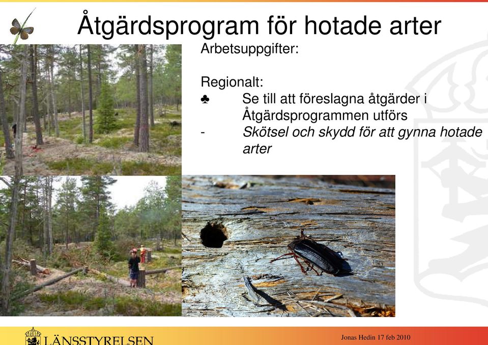 Åtgärdsprogrammen utförs -