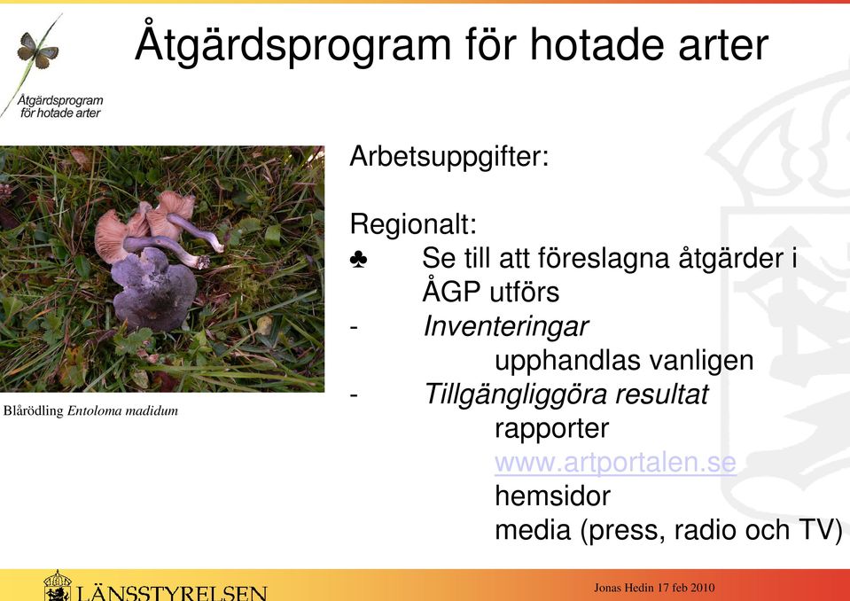Inventeringar upphandlas vanligen - Tillgängliggöra