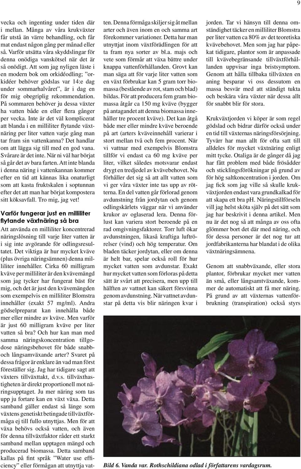 Att som jag nyligen läste i en modern bok om orkidéodling; orkidéer behöver gödslas var 14:e dag under sommarhalvåret, är i dag en för mig obegriplig rekommendation.