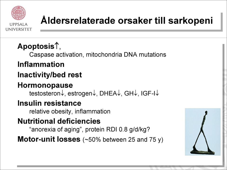 DHEA, GH, IGF-I Insulin resistance relative obesity, inflammation Nutritional