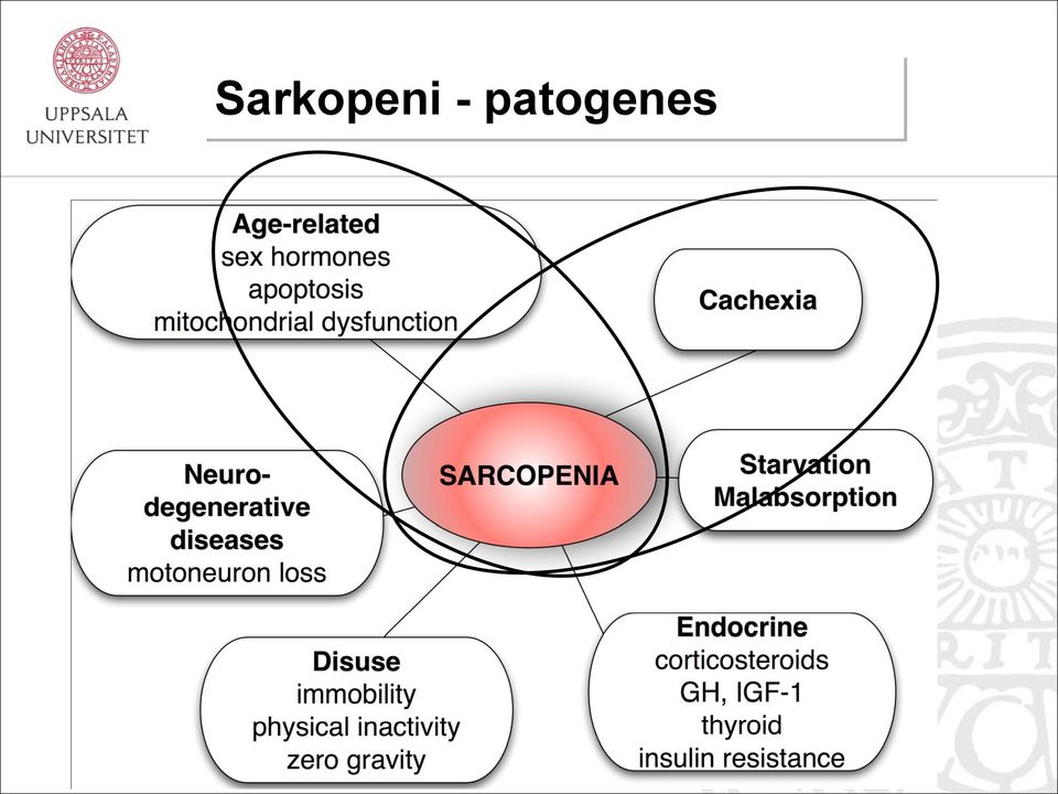 patogenes