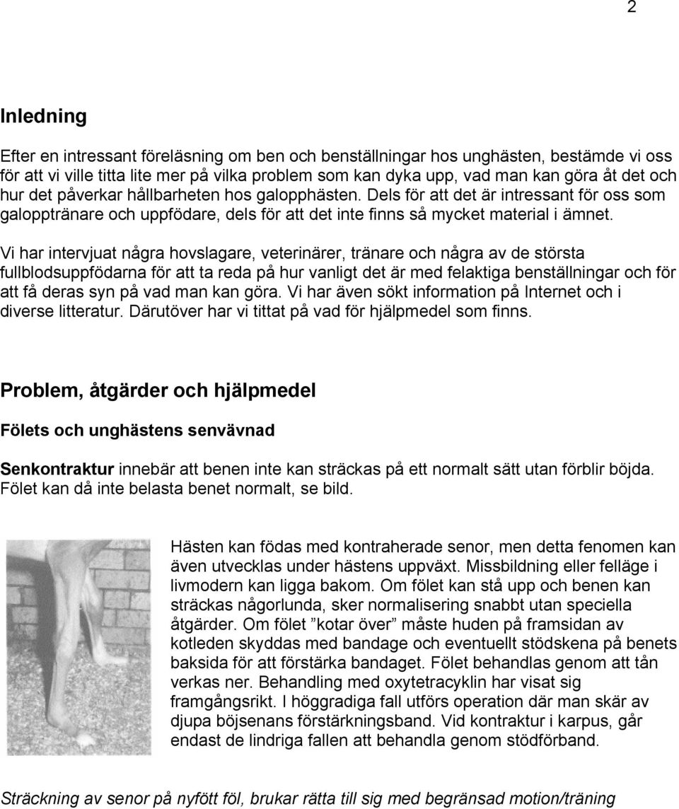 Vi har intervjuat några hovslagare, veterinärer, tränare och några av de största fullblodsuppfödarna för att ta reda på hur vanligt det är med felaktiga benställningar och för att få deras syn på vad