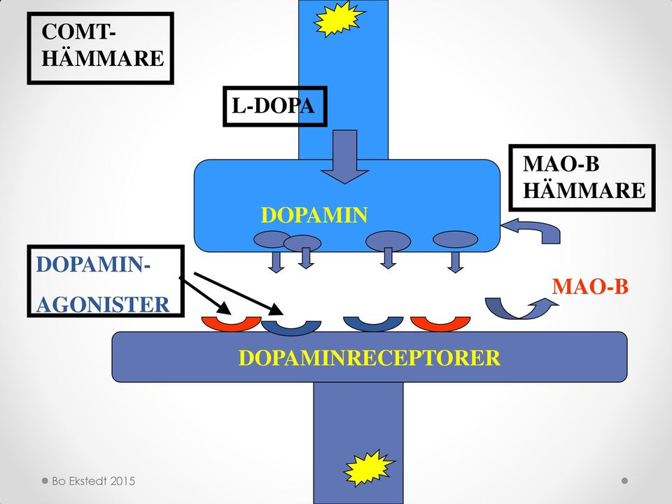 DOPAMIN- AGONISTER