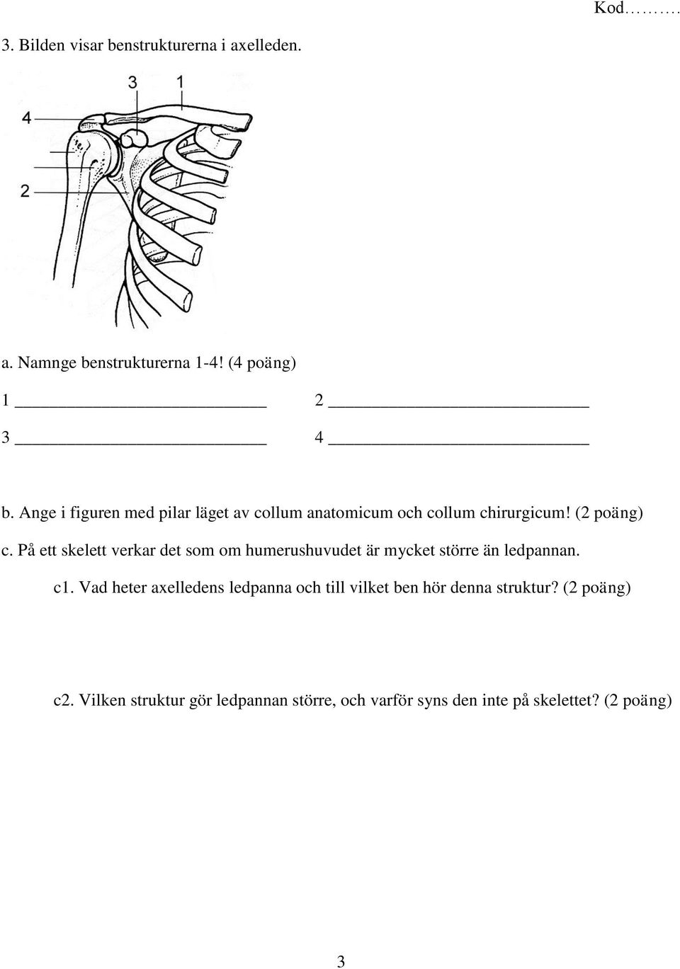 På ett skelett verkar det som om humerushuvudet är mycket större än ledpannan. c1.