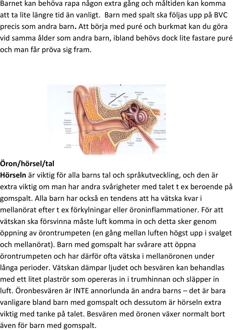 Öron/hörsel/tal Hörseln är viktig för alla barns tal och språkutveckling, och den är extra viktig om man har andra svårigheter med talet t ex beroende på gomspalt.