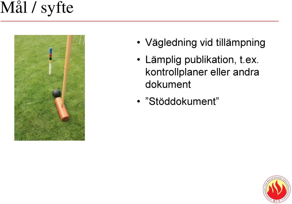 publikation, t.ex.