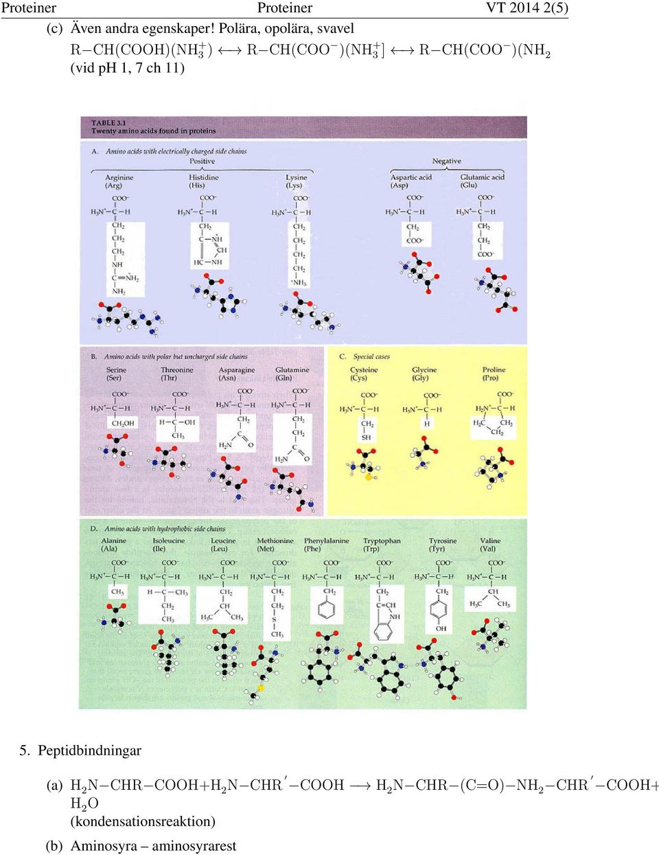 )(NH 2 (vid ph 1, 7 ch 11) 5.