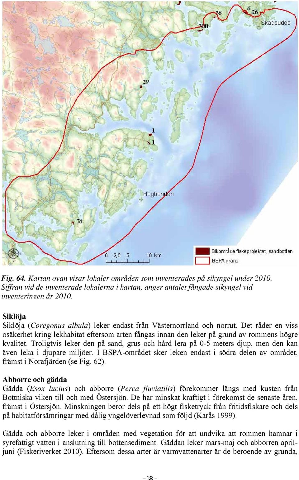 Troligtvis leker den på sand, grus och hård lera på 0-5 meters djup, men den kan även leka i djupare miljöer. I BSPA-området sker leken endast i södra delen av området, främst i Norafjärden (se Fig.