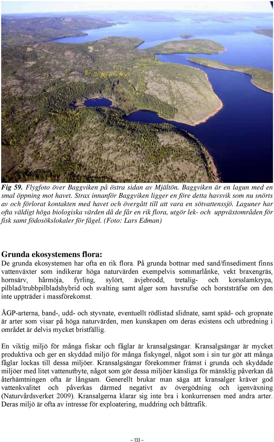 Laguner har ofta väldigt höga biologiska värden då de får en rik flora, utgör lek- och uppväxtområden för fisk samt födosökslokaler för fågel.