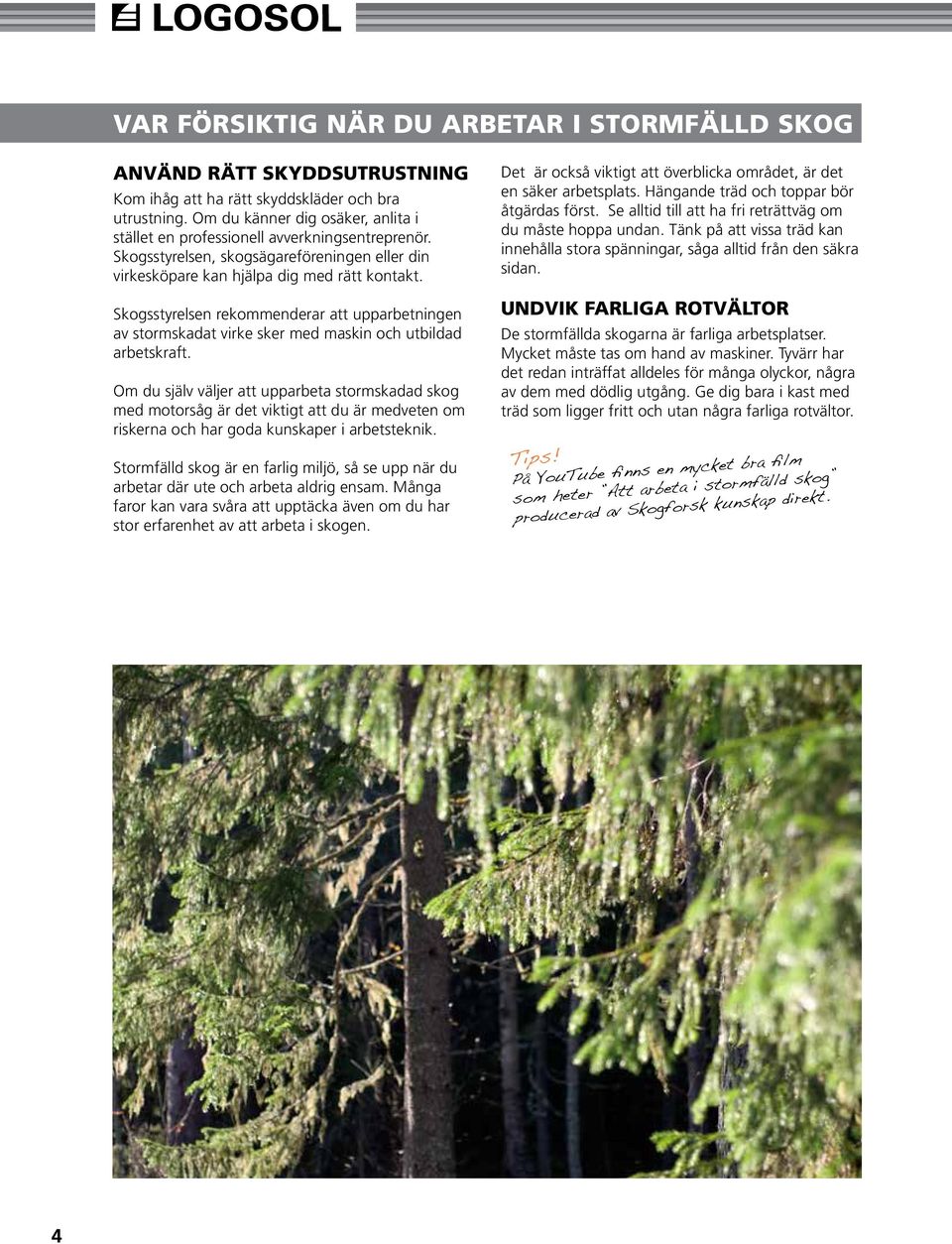 Skogsstyrelsen rekommenderar att upparbetningen av stormskadat virke sker med maskin och utbildad arbetskraft.