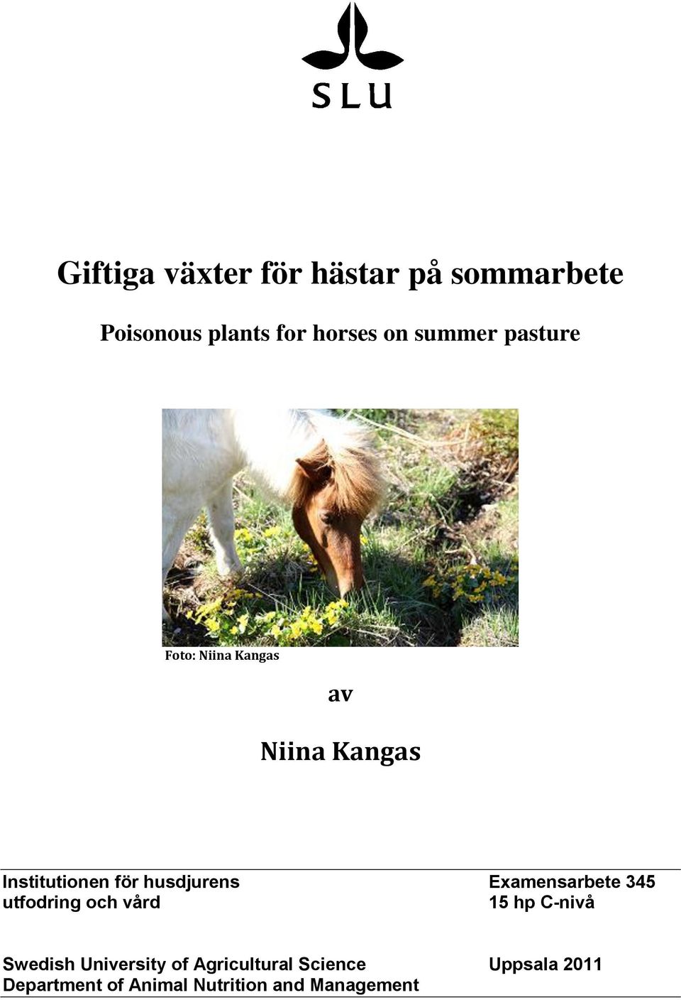 husdjurens Examensarbete 345 utfodring och vård 15 hp C-nivå Swedish