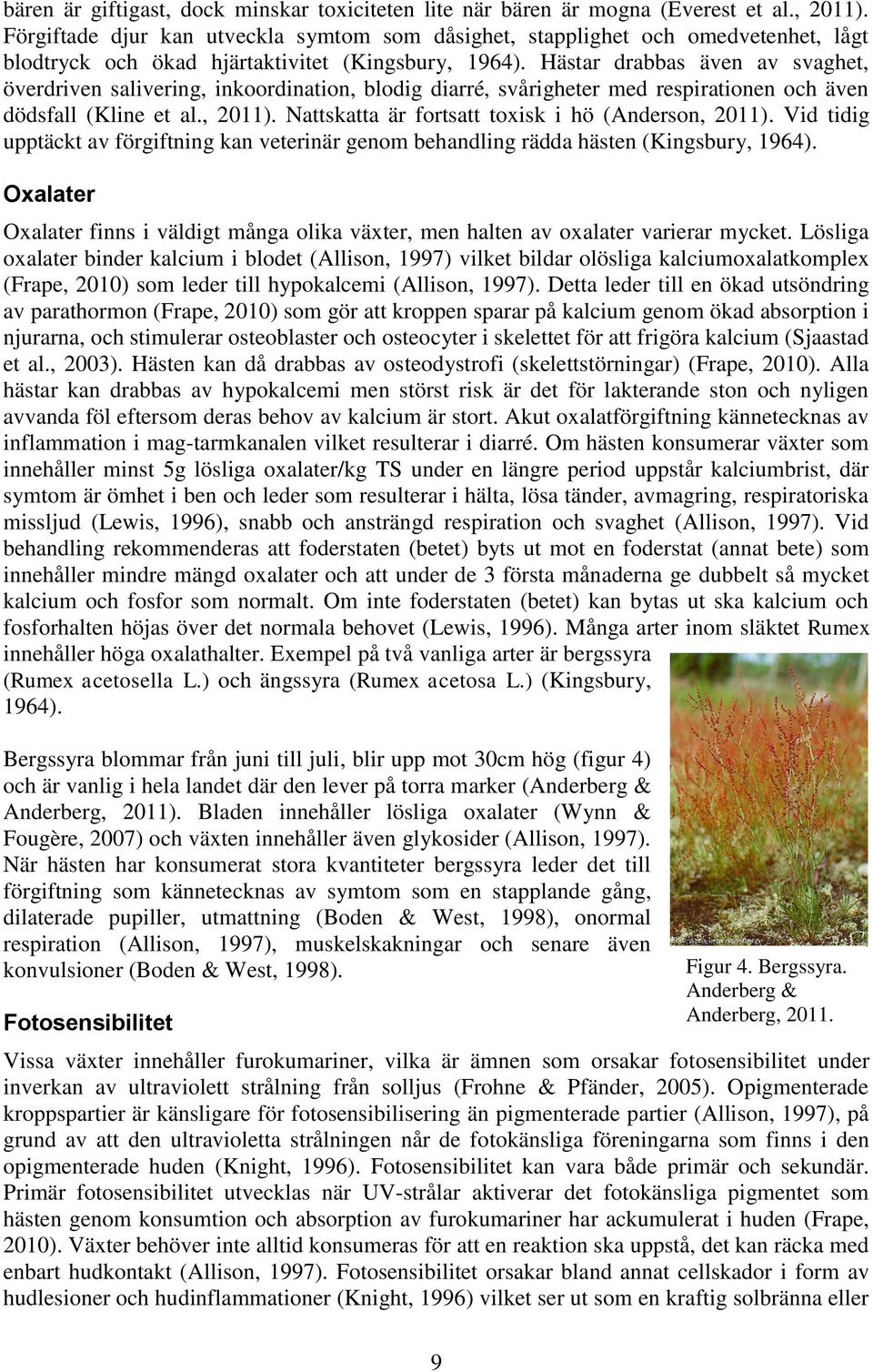 Hästar drabbas även av svaghet, överdriven salivering, inkoordination, blodig diarré, svårigheter med respirationen och även dödsfall (Kline et al., 2011).