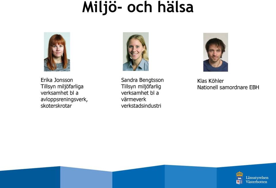 Sandra Bengtsson Tillsyn miljöfarlig verksamhet bl a