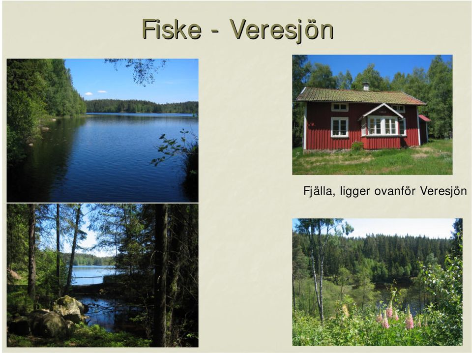 Fjälla,