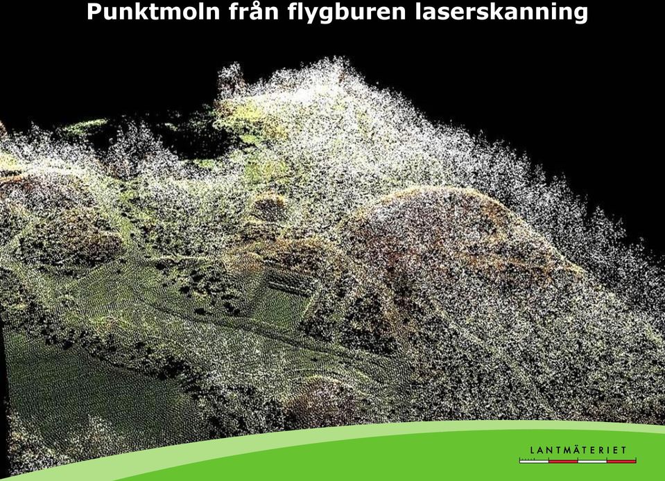 flygburen