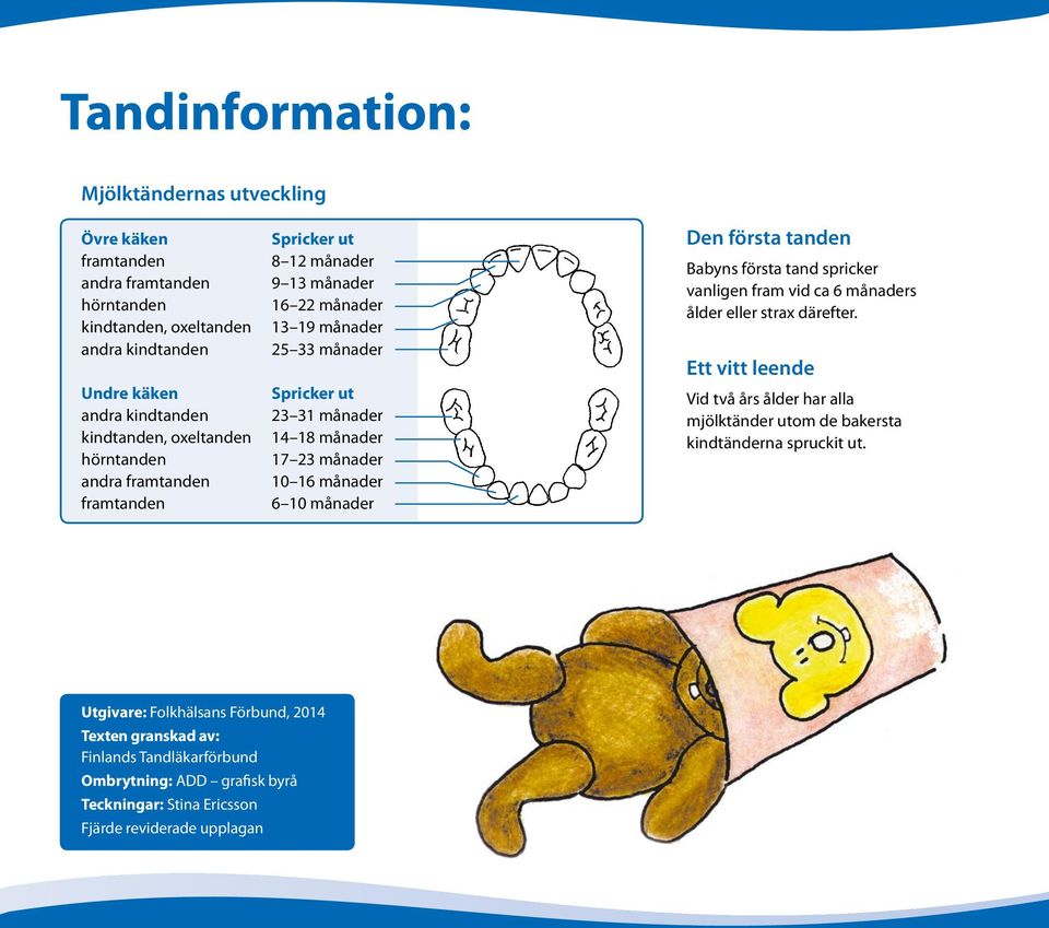 10 månader Den första tanden Babyns första tand spricker vanligen fram vid ca 6 månaders ålder eller strax därefter.