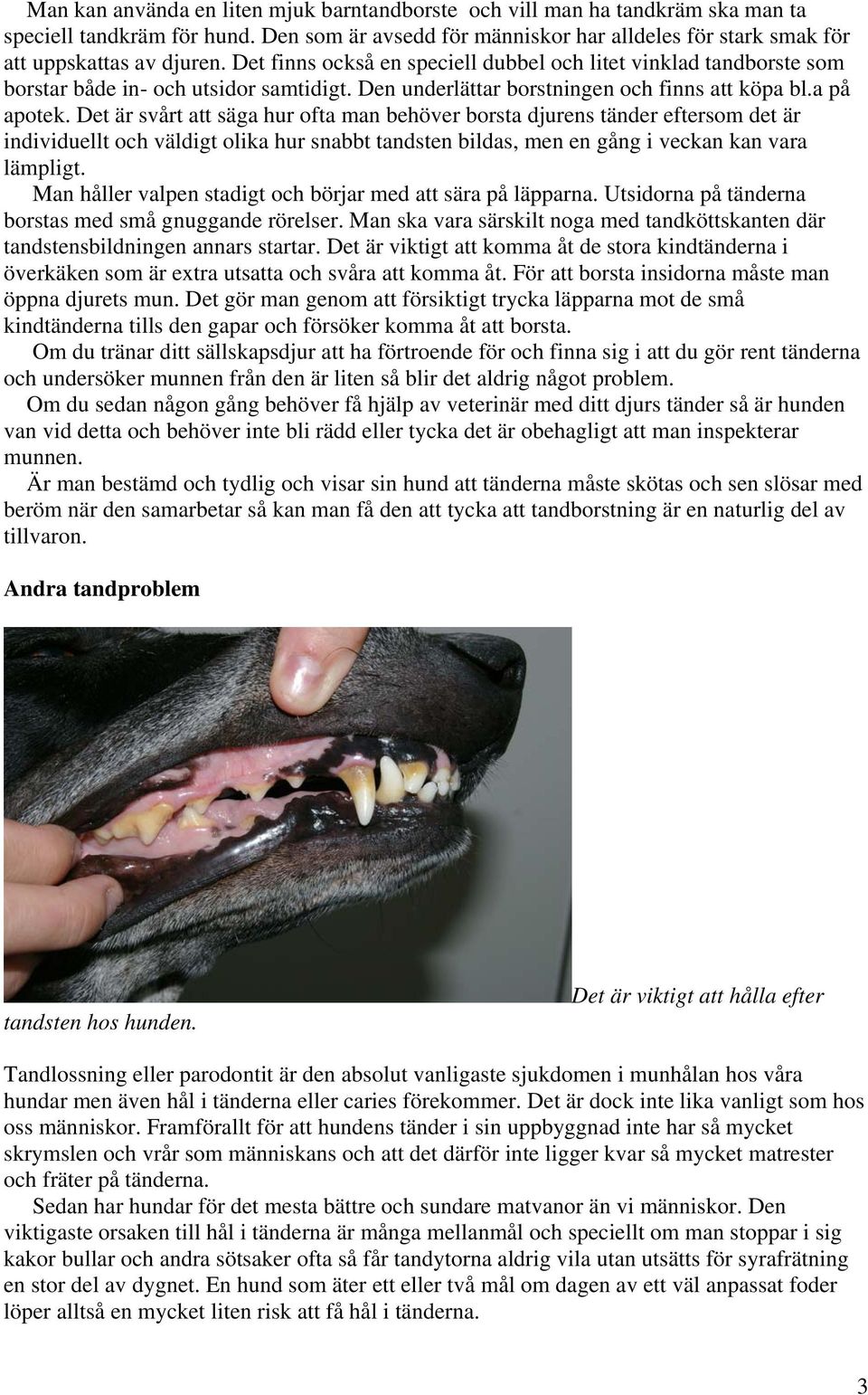 Det är svårt att säga hur ofta man behöver borsta djurens tänder eftersom det är individuellt och väldigt olika hur snabbt tandsten bildas, men en gång i veckan kan vara lämpligt.
