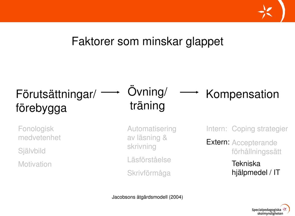 Läsförståelse Skrivförmåga Kompensation Intern: Extern: Coping strategier