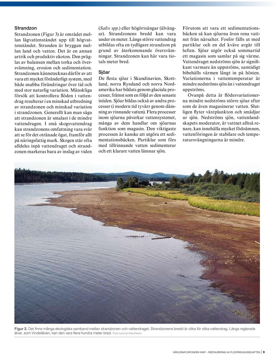 Strandzonen kännetecknas därför av att vara ett mycket föränderligt system, med både snabba förändringar över tid och med stor naturlig variation.