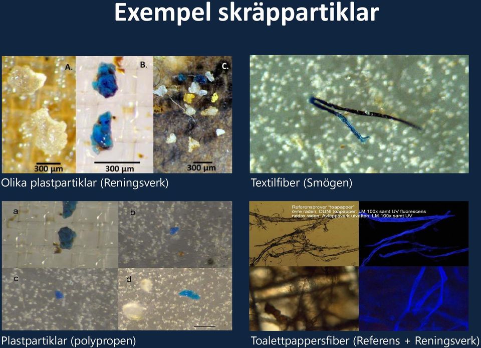 Textilfiber (Smögen) Plastpartiklar