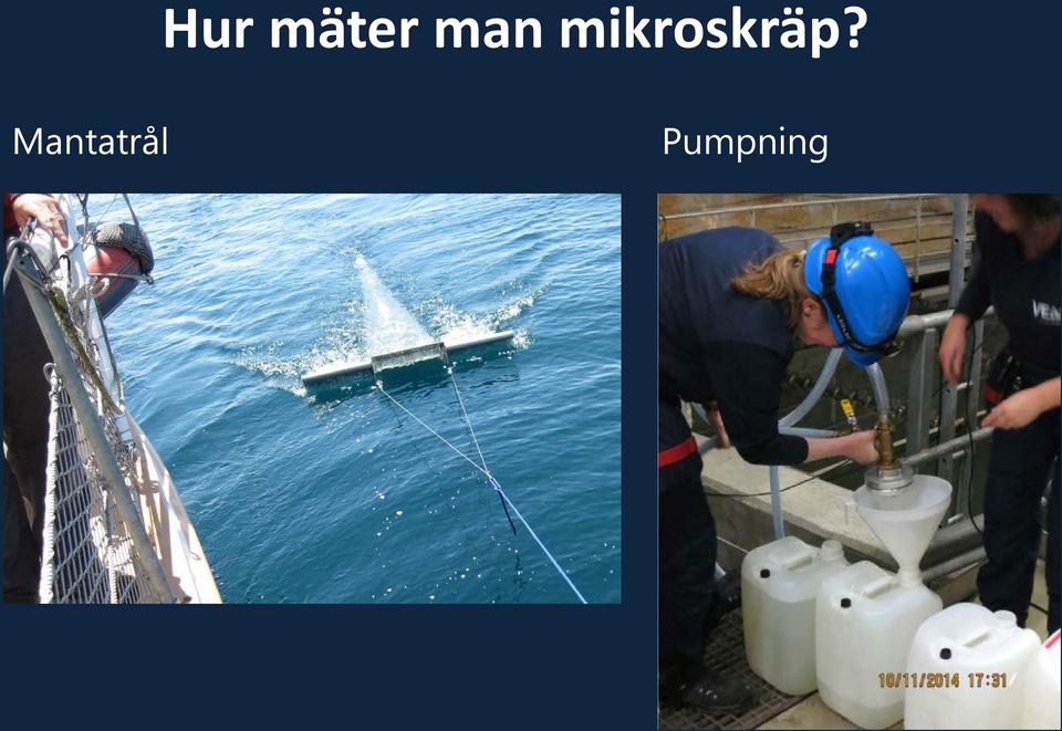 mikroskräp?