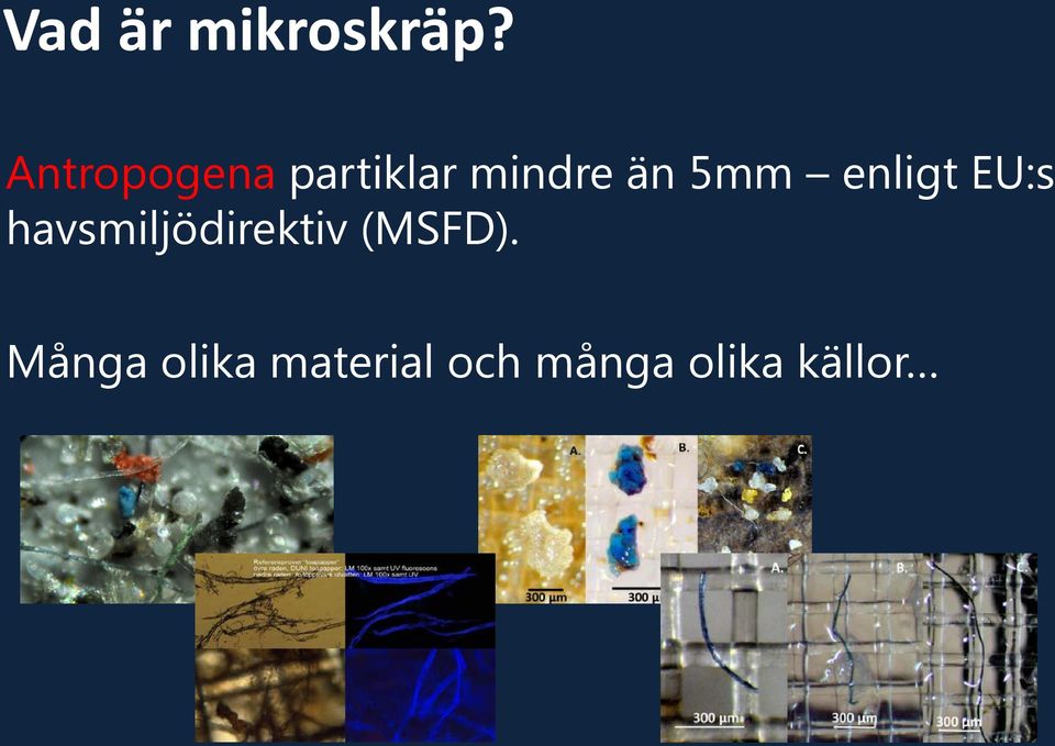 5mm enligt EU:s havsmiljödirektiv