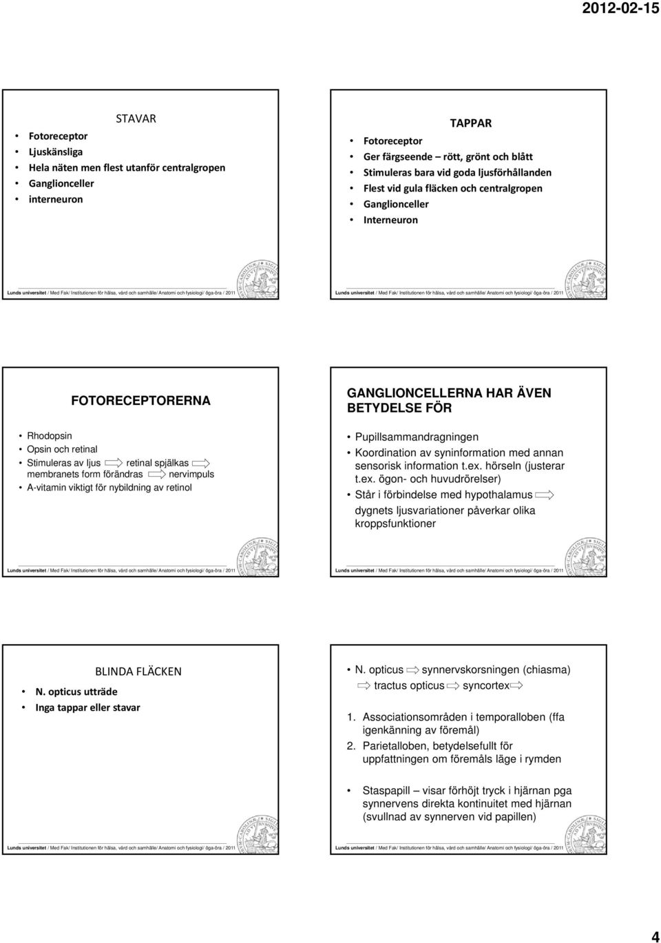 nervimpuls A-vitamin viktigt för nybildning av retinol GANGLIONCELLERNA HAR ÄVEN BETYDELSE FÖR Pupillsammandragningen Koordination av syninformation med annan sensorisk information t.ex.