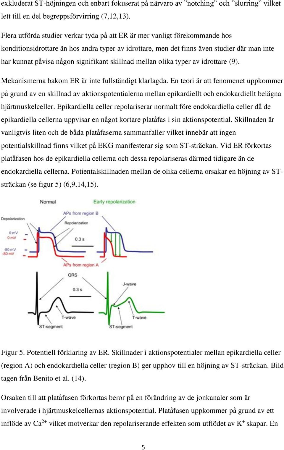 signifikant skillnad mellan olika typer av idrottare (9). Mekanismerna bakom ER är inte fullständigt klarlagda.