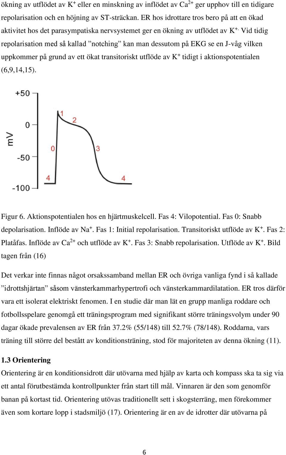 Vid tidig repolarisation med så kallad notching kan man dessutom på EKG se en J-våg vilken uppkommer på grund av ett ökat transitoriskt utflöde av K + tidigt i aktionspotentialen (6,9,14,15). Figur 6.