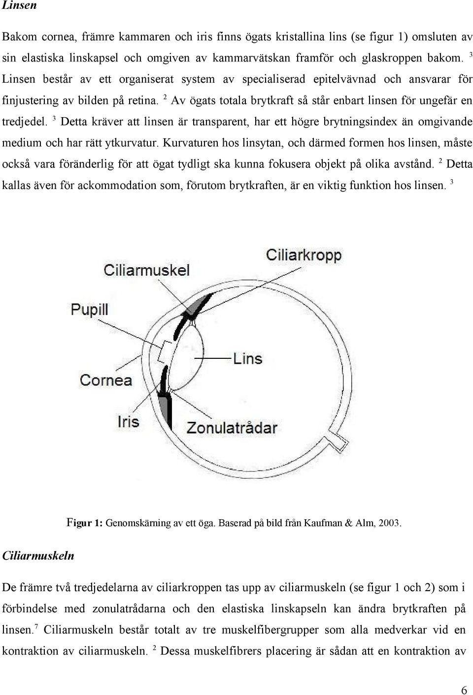 3 Detta kräver att linsen är transparent, har ett högre brytningsindex än omgivande medium och har rätt ytkurvatur.