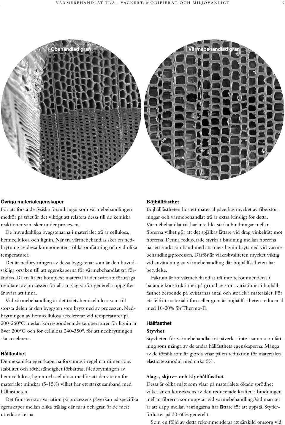 De huvudsakliga byggstenarna i materialet trä är cellulosa, hemicellulosa och lignin. När trä värmebehandlas sker en nedbrytning av dessa komponenter i olika omfattning och vid olika temperaturer.